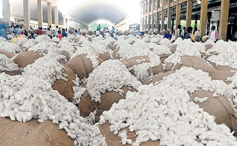 cotton.jpg