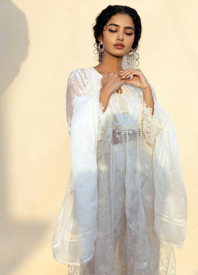 Anupama_20Parameswaran2.jpg 3