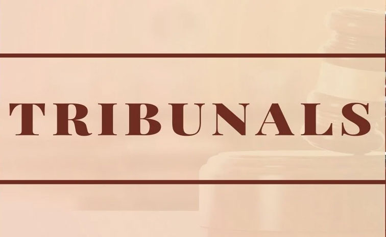 TRIB.jpg