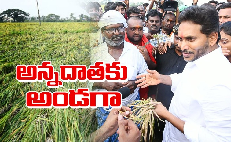 YSJagan_Krishna.jpg