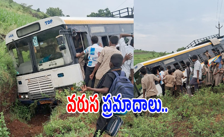 bus7.jpg