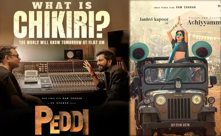 peddi.jpg