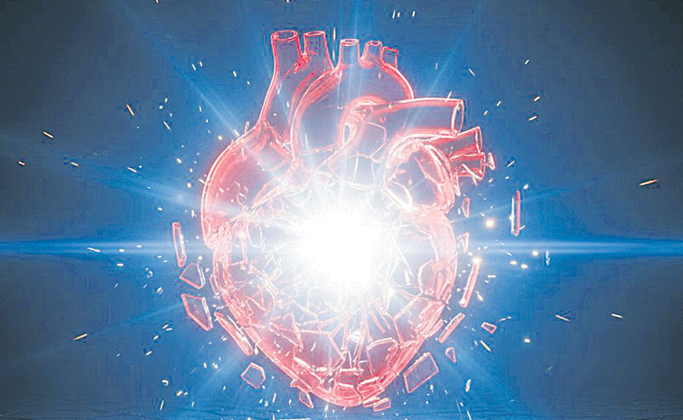 heart.jpg