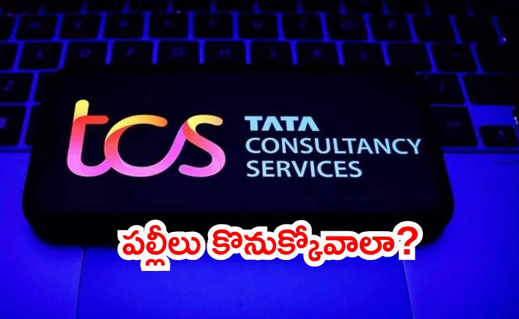 tcs.jpg