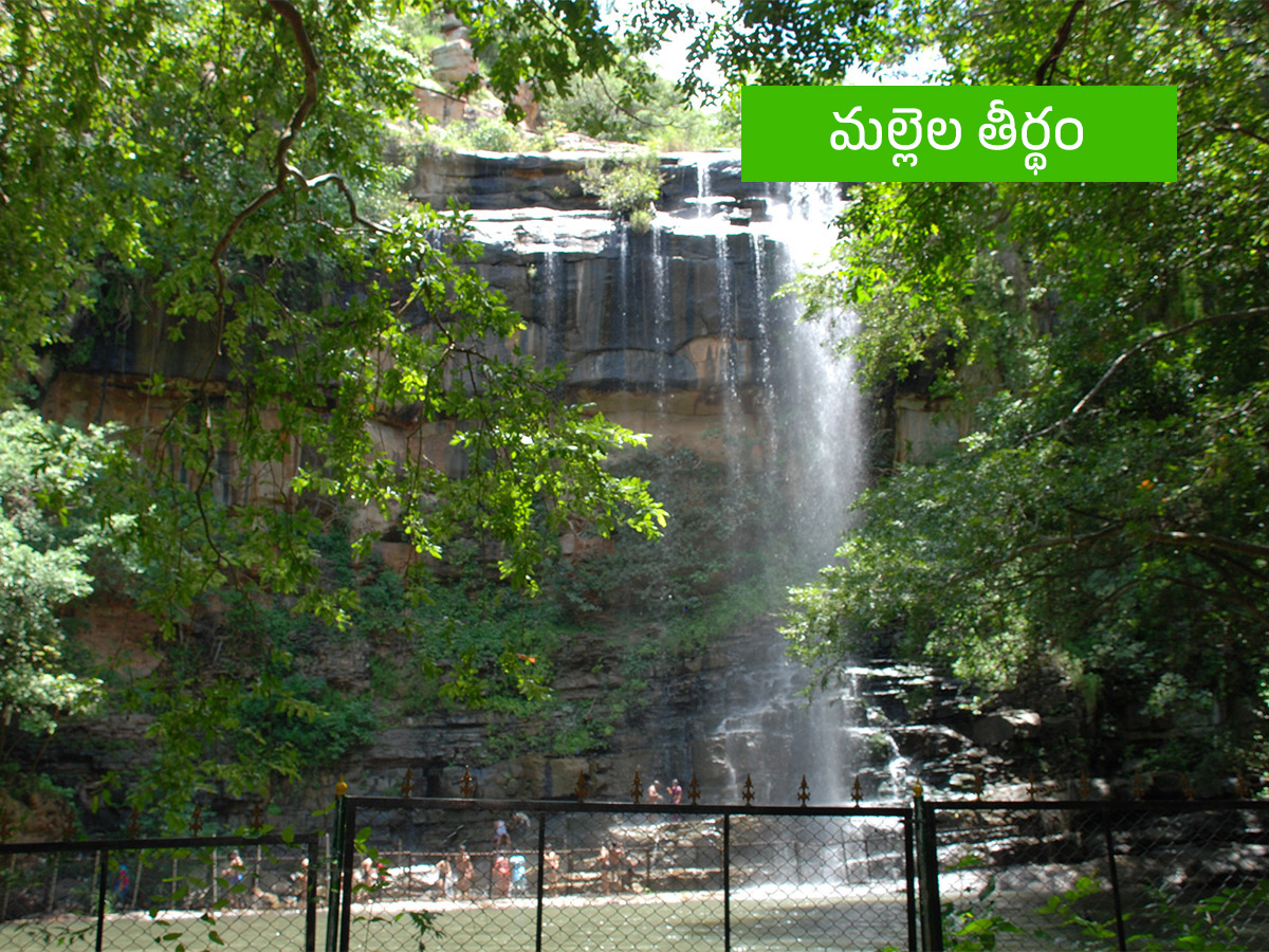 Vanabhojanalu_20_20Best_20Picnic_20Spots_20In_20Near_20Hyderabad__20_2822_29.jpg 21