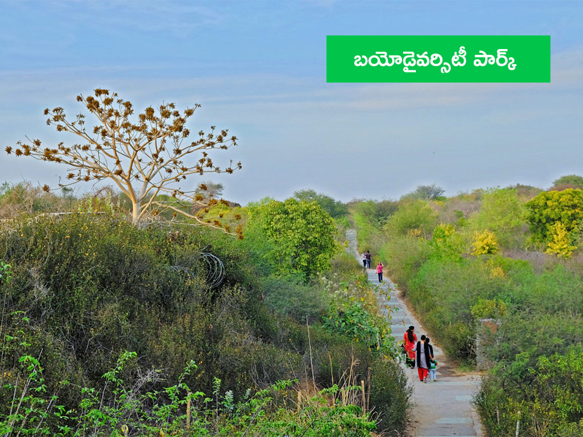Vanabhojanalu_20_20Best_20Picnic_20Spots_20In_20Near_20Hyderabad__20_287_29.jpg 7