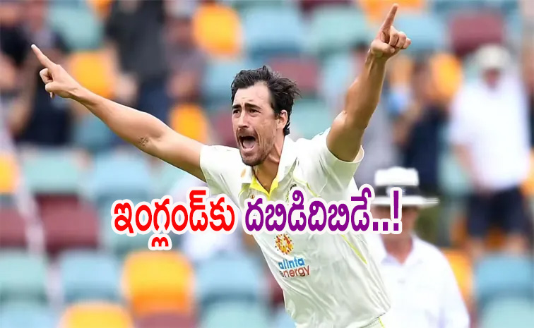starc.jpg