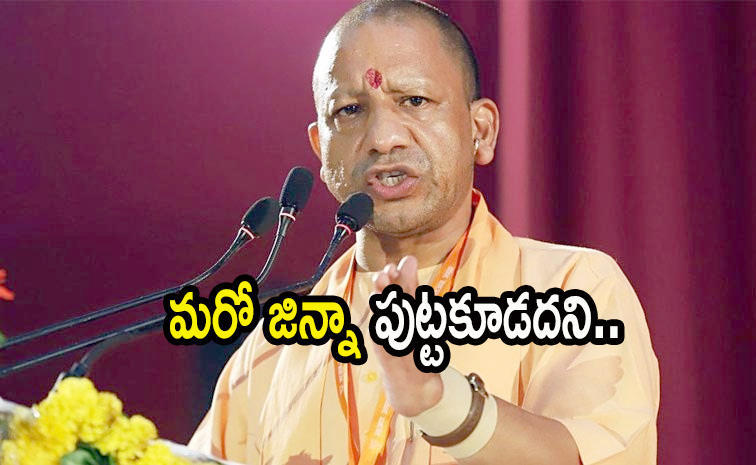 yogi.jpg