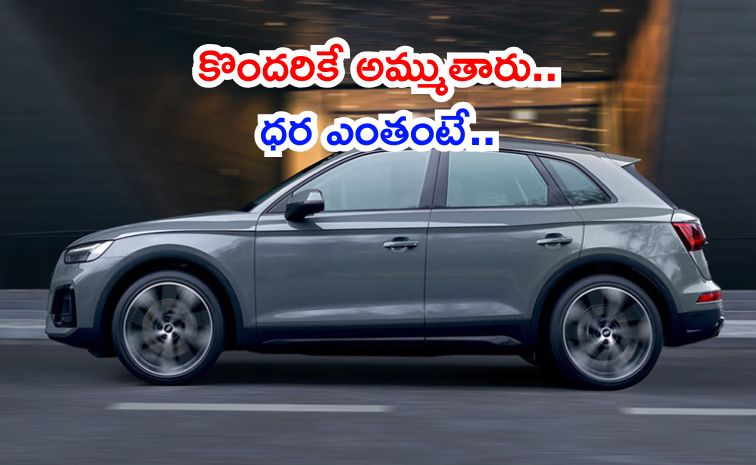 audii_0.jpg