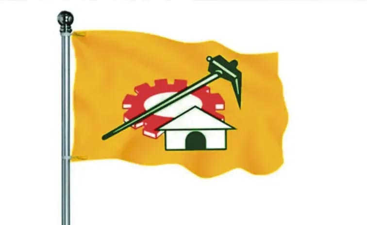 tdp.jpg