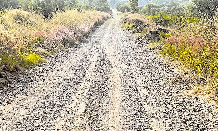 ROAD_0.jpg