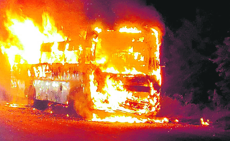 bus.jpg