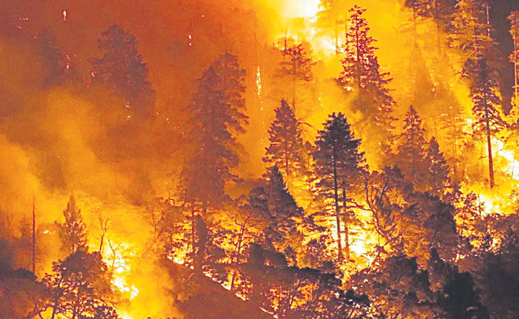 fires.jpg