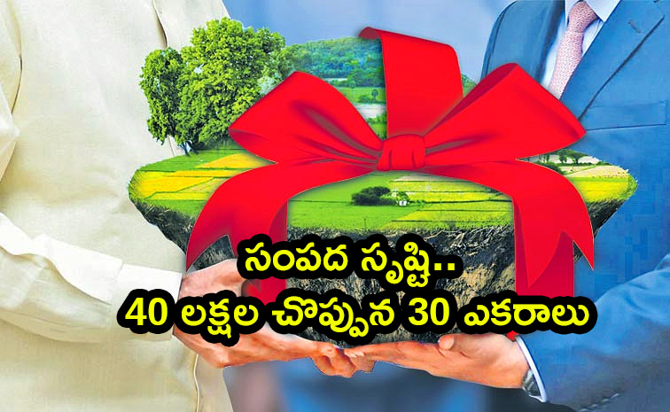 Chandrababu-Govt.jpg