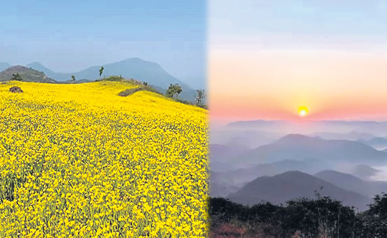 HILLS.jpg