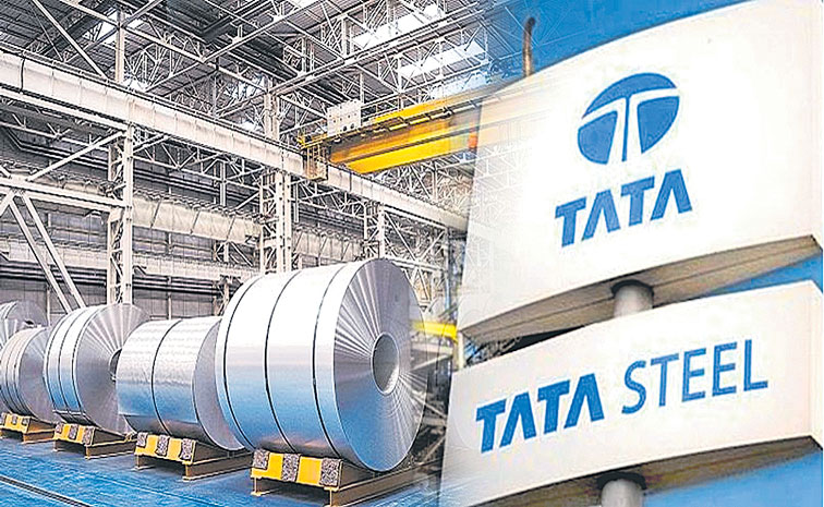 TATA-STEEL-STORK-FERRO.jpg