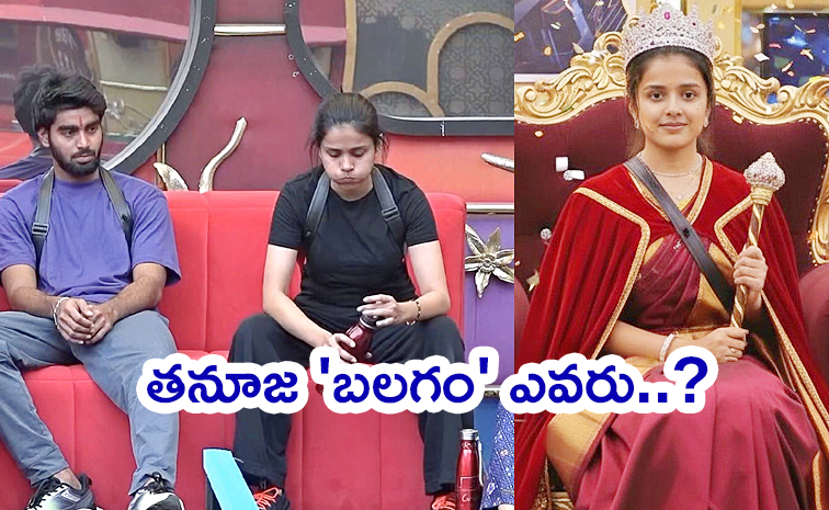 Bigg-Boss-9-Telugu.jpg