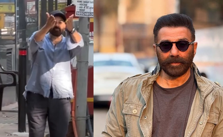 sunny-deol.jpg