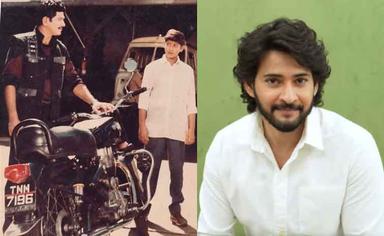 maheshbabu.jpg