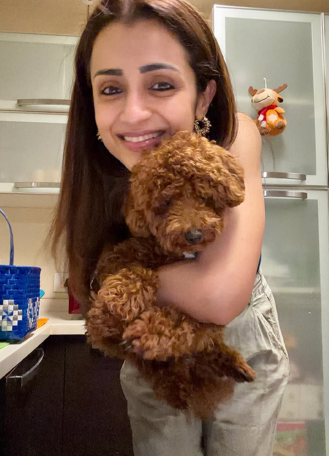 Trisha_20pet_20birthday10.jpg 11