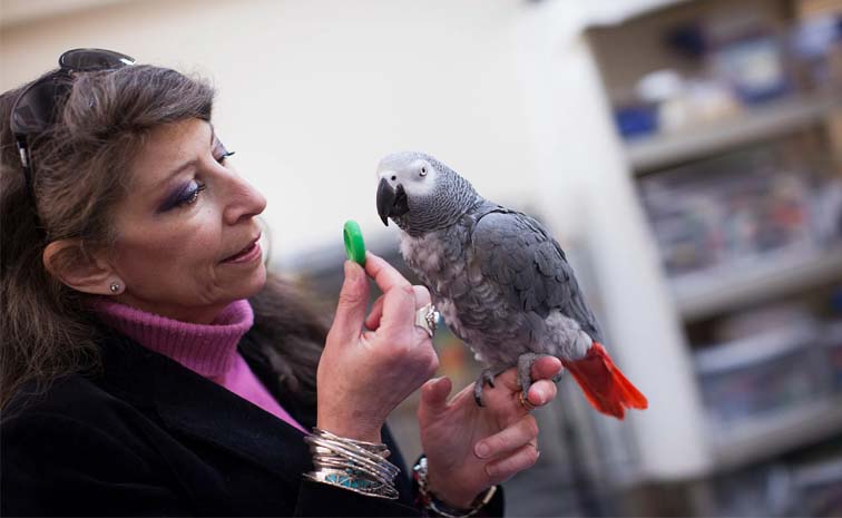 bird.jpg