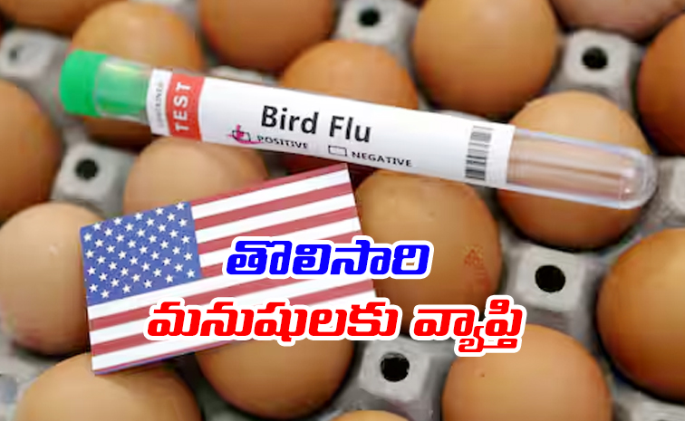 bird_20flu1.jpg