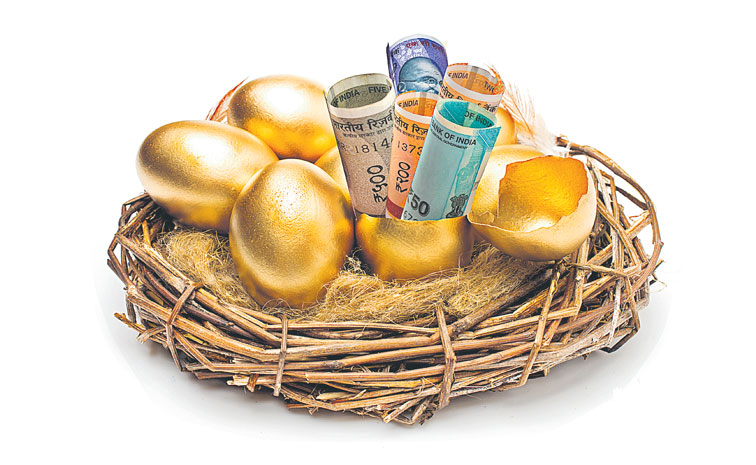 GOLD-NEST-MONEY--925245340.jpg