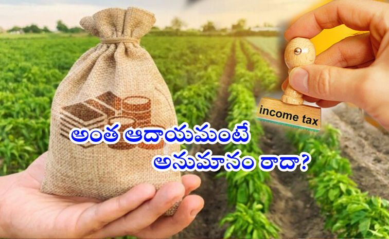 income.jpg