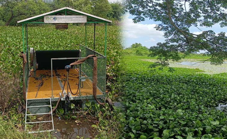 icrisat-water-hyacinth-harvester.jpg