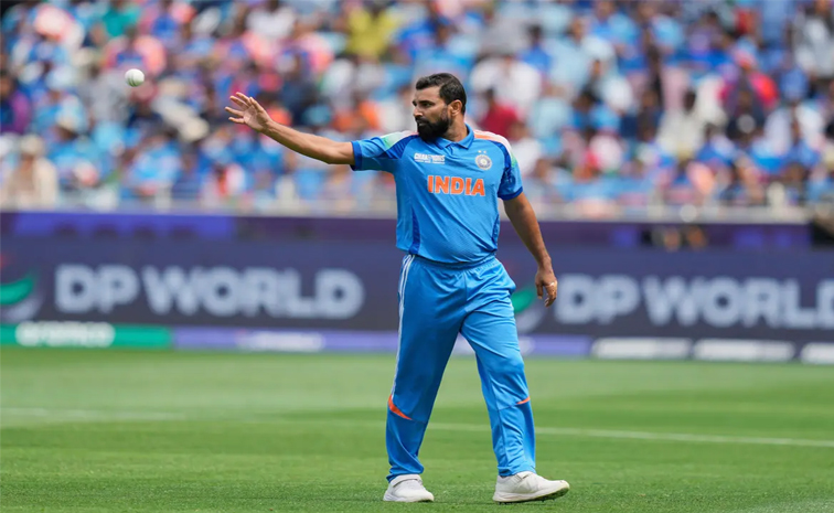 shami.jpg