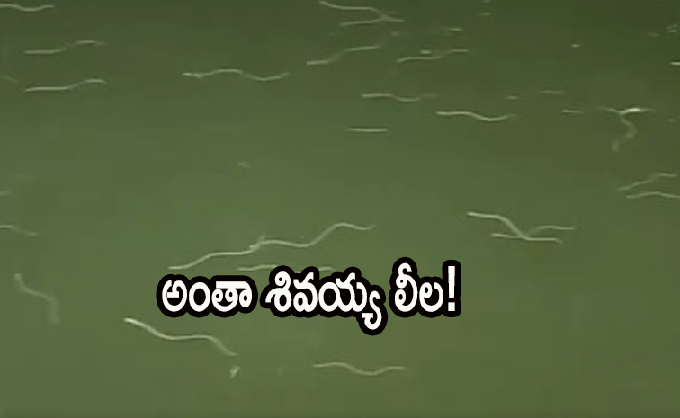water.jpg