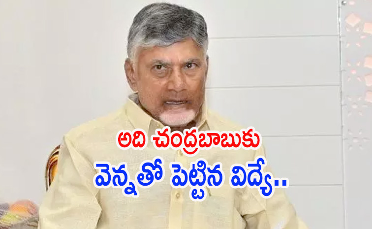 chandrababu.jpg