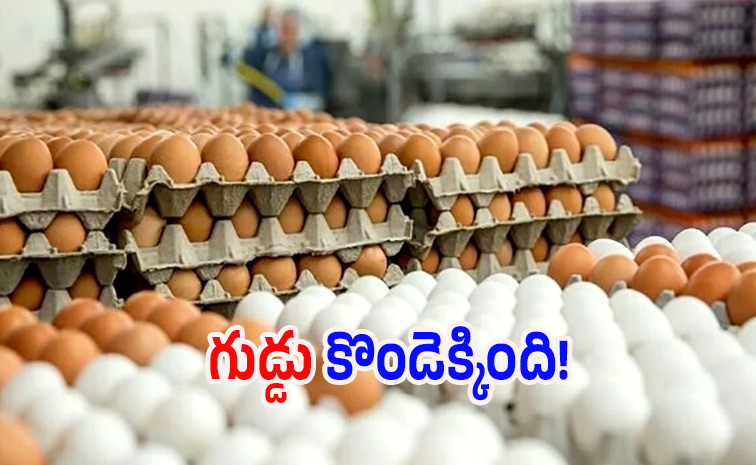 egg.jpg