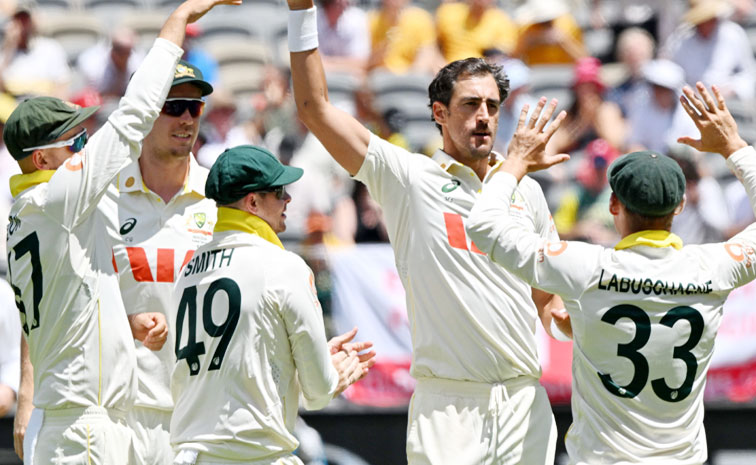 starc.jpg