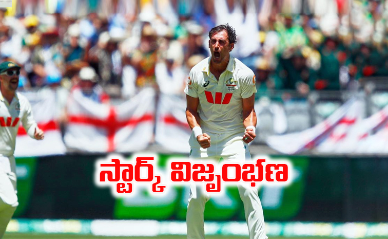 starc_1.jpg