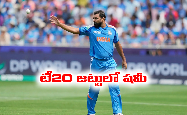 shami.jpg