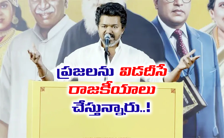 vijay_20vs_20dmk.jpg