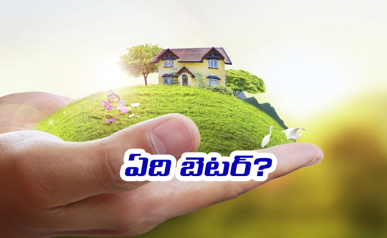 House-or-place-which.jpg