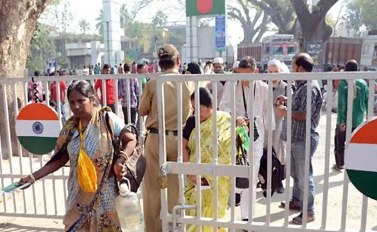 bengal.jpg