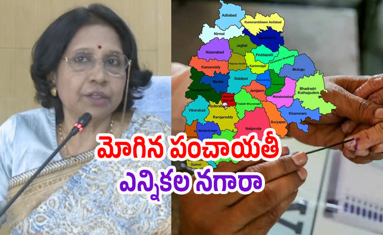 panchayathielections3.jpg