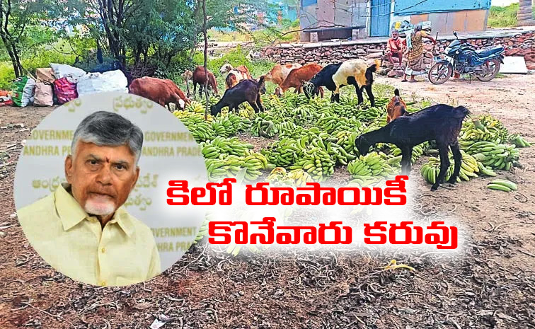 Chandrababu-Naidu.jpg