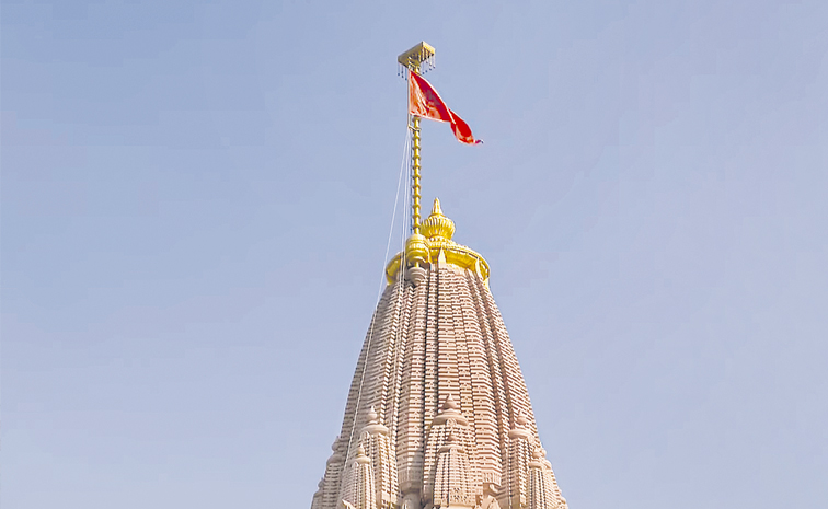 FLAG.jpg