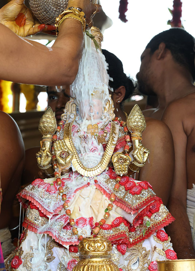 Tiruchanoor_20Panchami_20Theertham_20Photos__20_2818_29.jpg 18