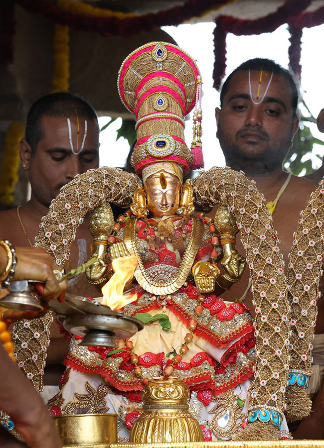 Tiruchanoor_20Panchami_20Theertham_20Photos__20_2819_29.jpg 19