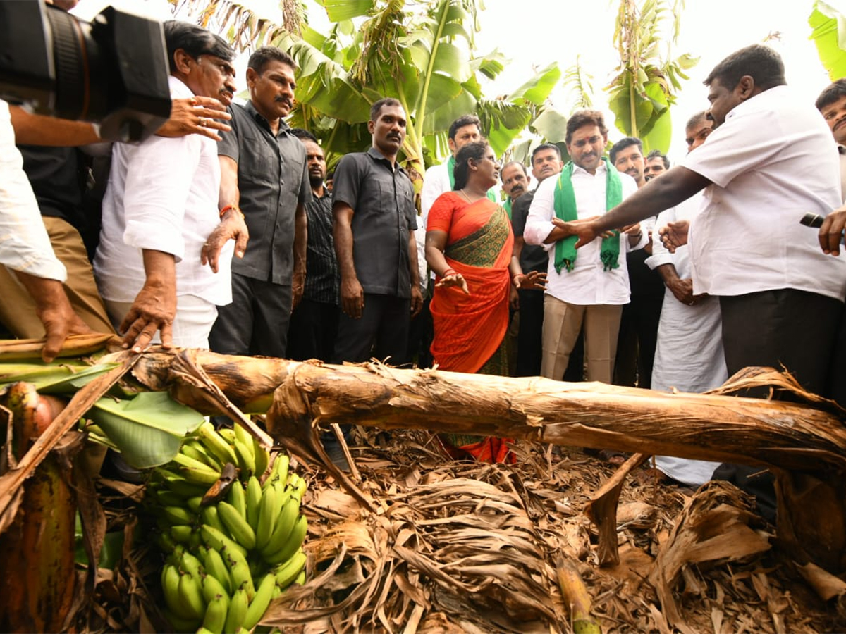 YS_20Jagan_20Visit_20Banana_20Farmers_20At_20Brahmanapalli_20Photos__20_2816_29.jpg 16