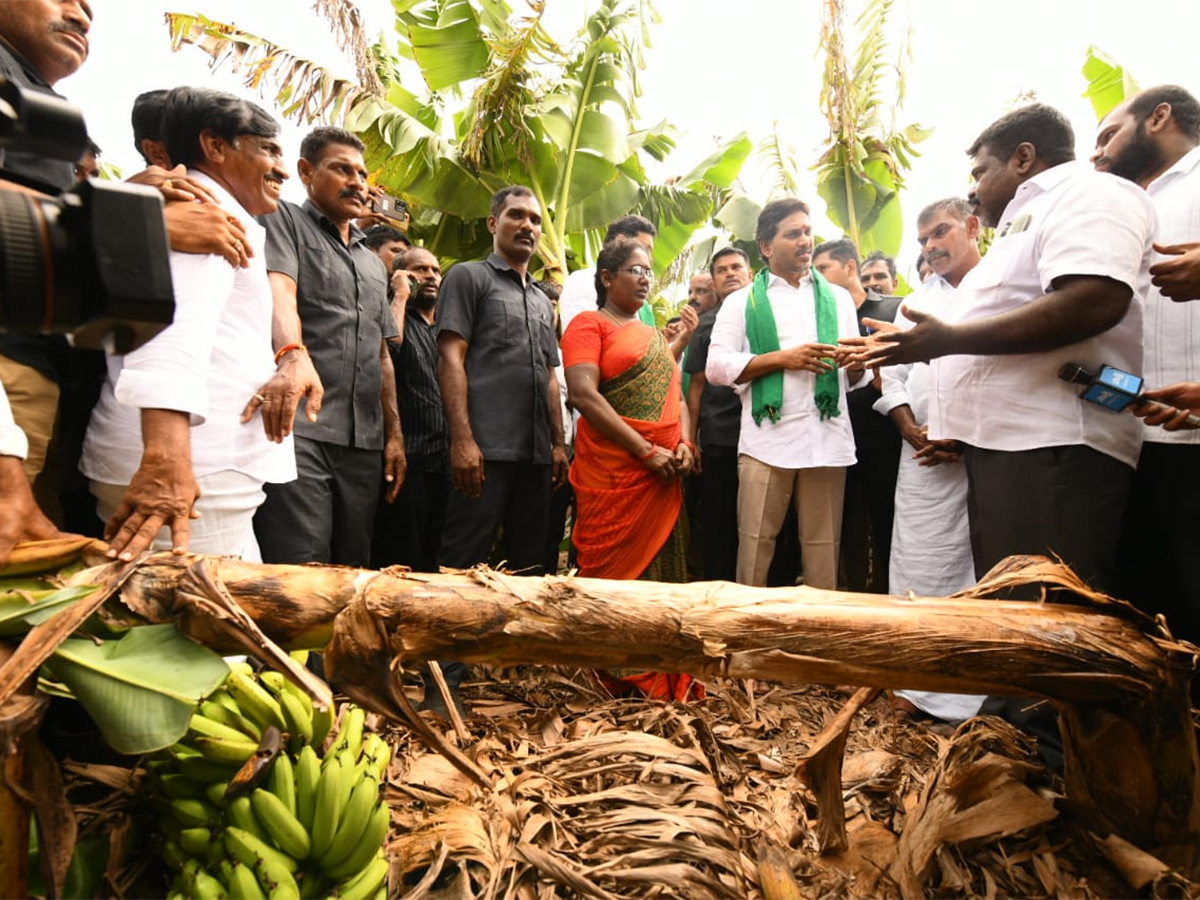 YS_20Jagan_20Visit_20Banana_20Farmers_20At_20Brahmanapalli_20Photos__20_2817_29.jpg 17