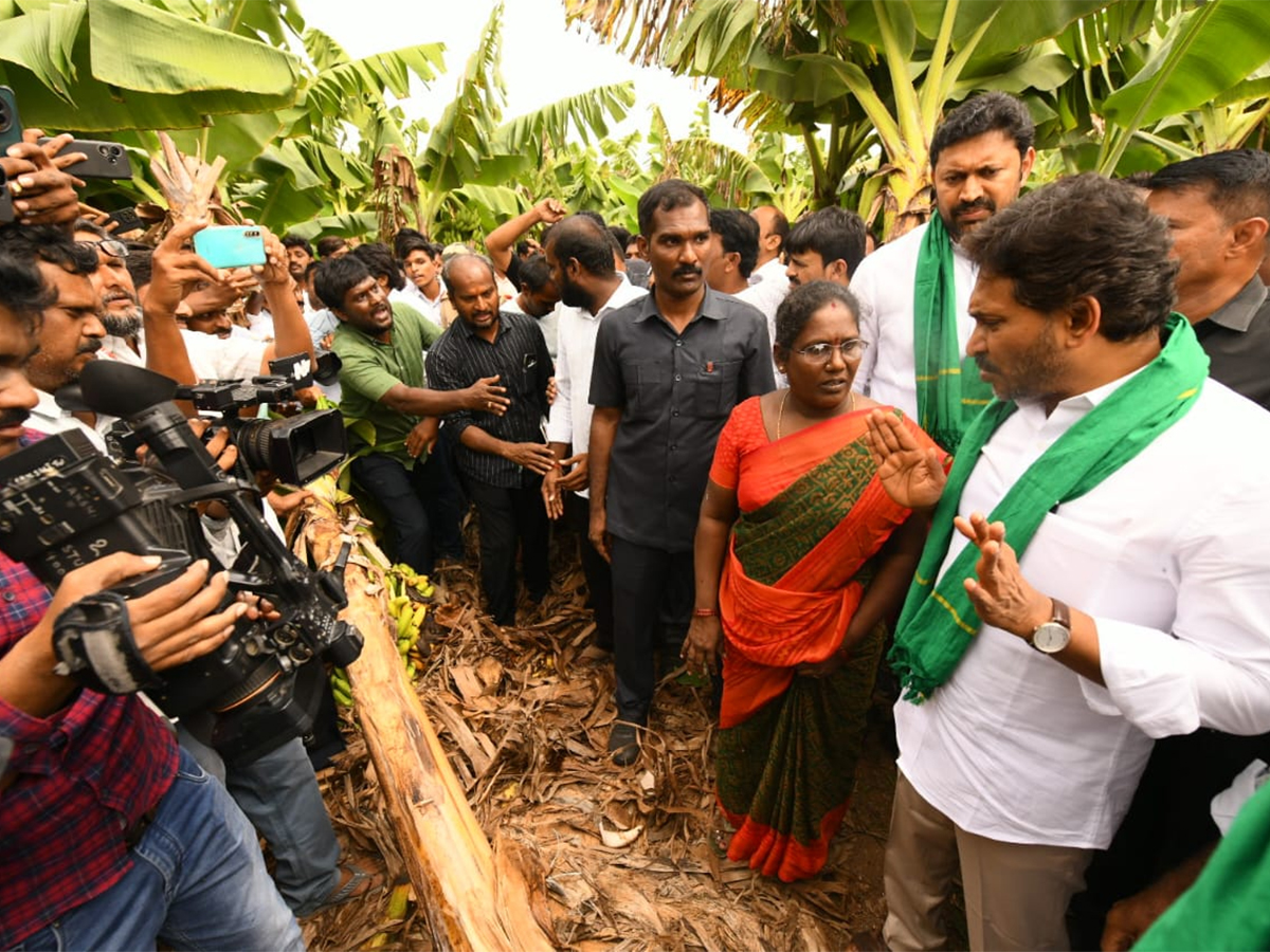 YS_20Jagan_20Visit_20Banana_20Farmers_20At_20Brahmanapalli_20Photos__20_2818_29.jpg 18