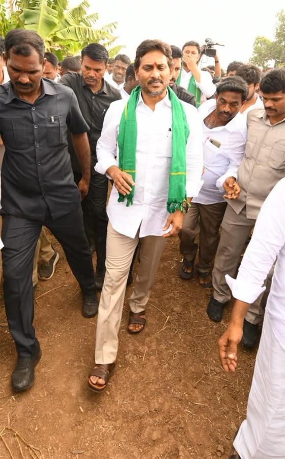 YS_20Jagan_20Visit_20Banana_20Farmers_20At_20Brahmanapalli_20Photos__20_2821_29.jpg 20