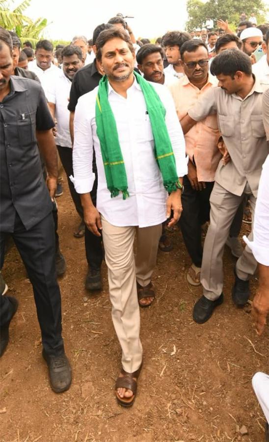 YS_20Jagan_20Visit_20Banana_20Farmers_20At_20Brahmanapalli_20Photos__20_2823_29.jpg 22