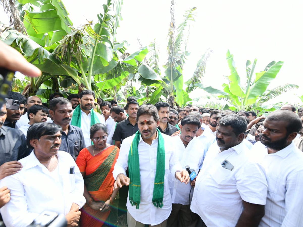 YS_20Jagan_20Visit_20Banana_20Farmers_20At_20Brahmanapalli_20Photos__20_283_29.jpg 3